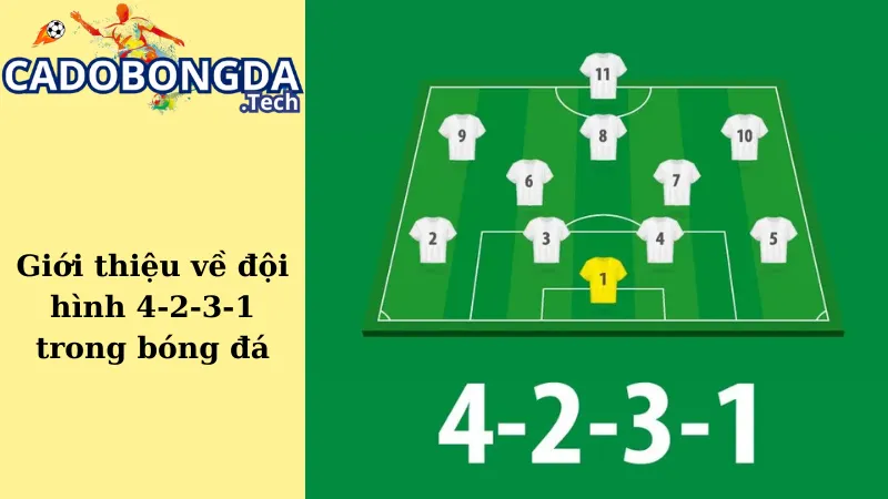 Giới thiệu về đội hình 4-2-3-1 trong bóng đá