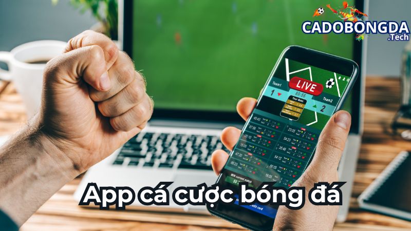 App cá cược bóng đá là ứng dụng cược bóng đá trên điện thoại