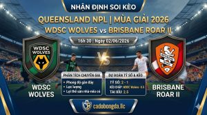 Nhận định soi kèo WDSC Wolves vs Brisbane Roar II 16h 30 ngày 02/06/2026 – Queensland NPL