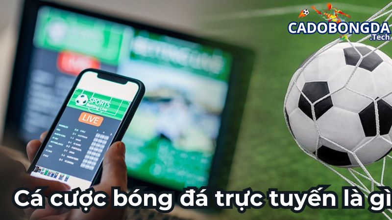 Cá cược bóng đá trực tuyến đang được nhiều người ưa chuộng