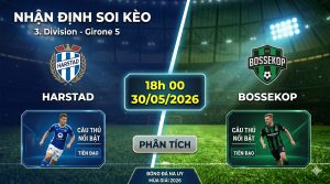 Nhận định soi kèo Harstad vs Bossekop 18h 00 ngày 30/05/2026 – 3. Division - Girone 5