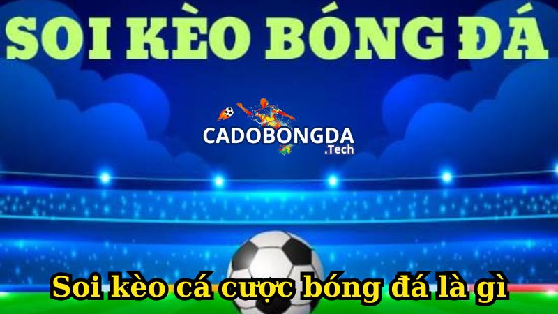 Tìm hiểu về soi kèo cá cược bóng đá