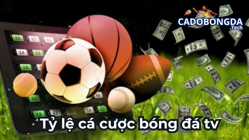 Tìm hiểu về tỷ lệ cá cược bóng đá Tv
