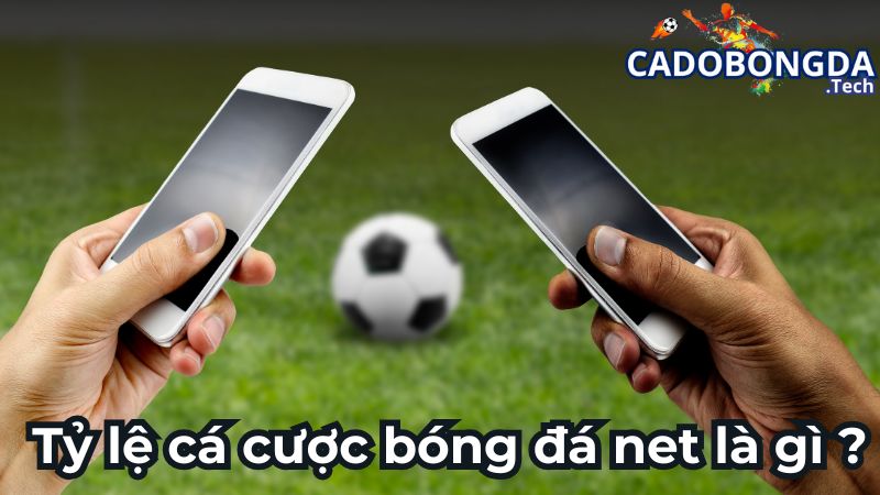 Khái niệm tỷ lệ cá cược bóng đá net